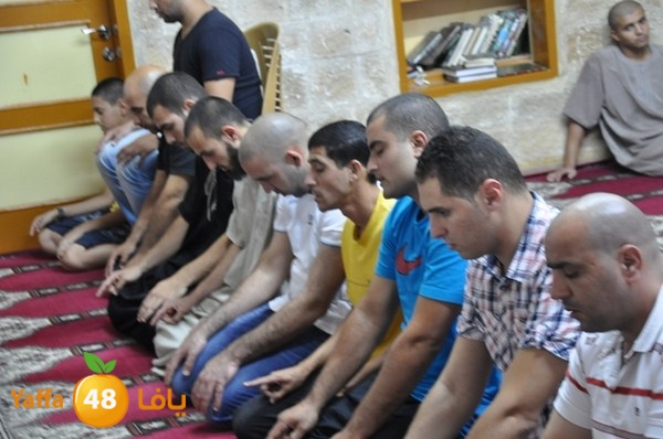 msajed amer qder 804 (24).JPG